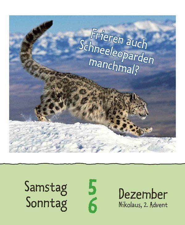 Produktbild: Wie faul ist das Faultier? 2026