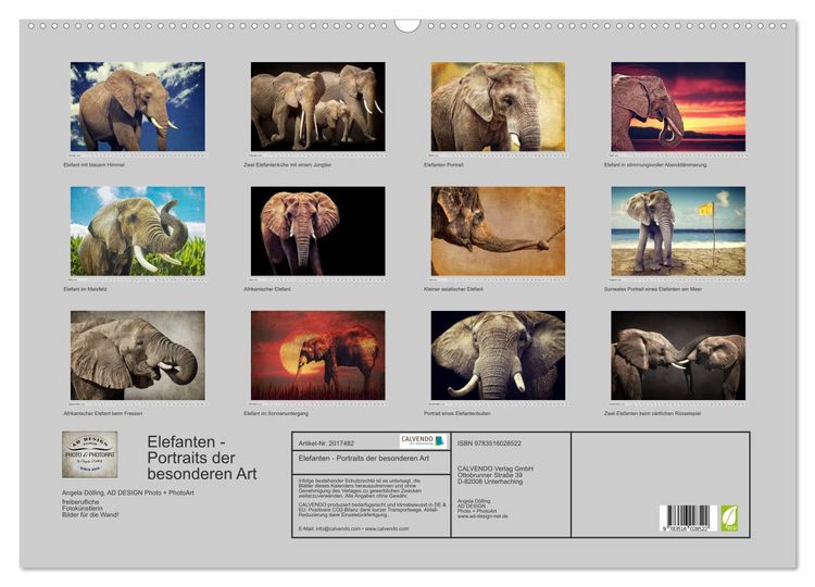 Produktbild: Elefanten - Portraits der besonderen Art (Wandkalender 2026 DIN A2 quer), CALVENDO Monatskalender