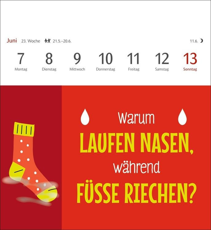 Produktbild: Der fette Vogel bricht den Ast Postkartenkalender 2027 - Wochenkalender - 53 Karten mit frechen Spr&uuml;chen
