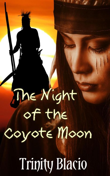 Produktbild: The Night Of The Coyote Moon