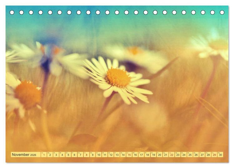 Produktbild: G&auml;nsebl&uuml;mchen Poesie (Tischkalender 2026 DIN A5 quer), CALVENDO Monatskalender