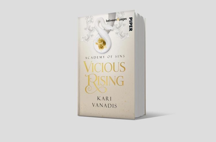 Produktbild: Vicious Rising: Academy of Sins