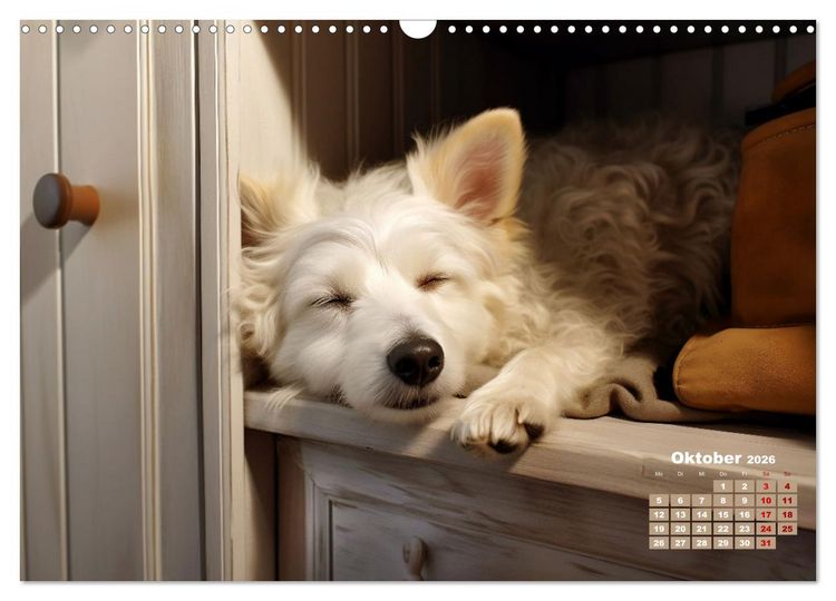 Produktbild: Lieblingsschlafpl&auml;tze (Wandkalender 2026 DIN A3 quer), CALVENDO Monatskalender