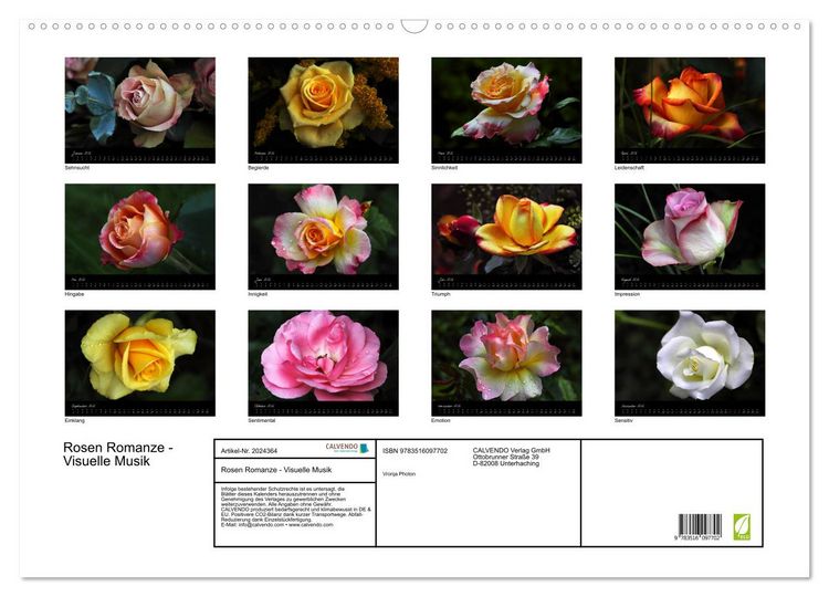Produktbild: Rosen Romanze - Visuelle Musik (Wandkalender 2026 DIN A2 quer), CALVENDO Monatskalender