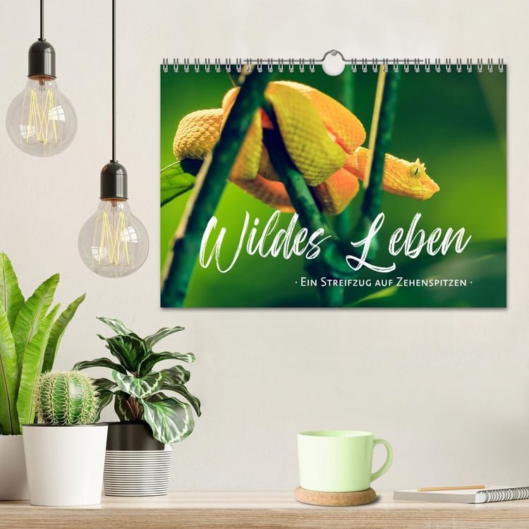 Produktbild: Wildes Leben - Ein Streifzug auf Zehenspitzen (Wandkalender 2026 DIN A4 quer), CALVENDO Monatskalender