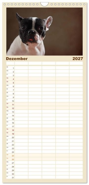 Produktbild: Familienplaner 2027 - Charme auf vier Pfoten - Franz&ouml;sische Bulldoggen Portraits mit 5 Spalten (Wandkalender, 21 x 45 cm) CALVENDO