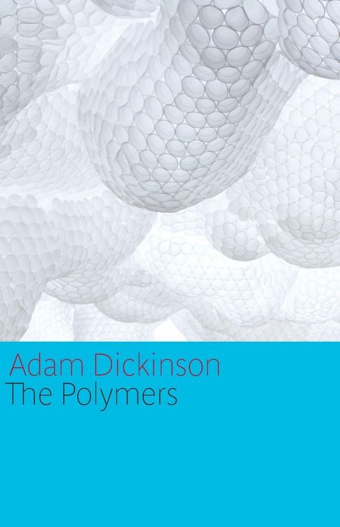 Produktbild: The Polymers