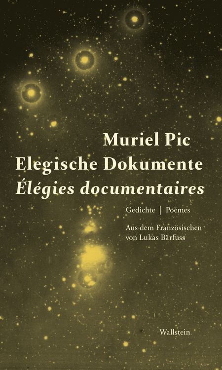Produktbild: Elegische Dokumente / &Eacute;legies documentaires