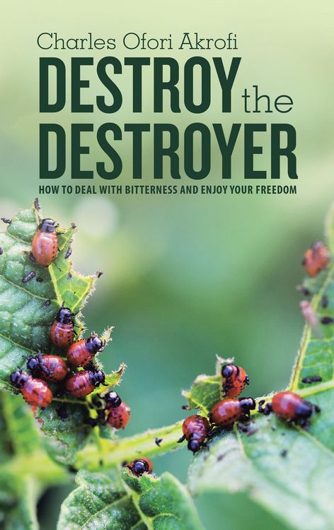 Produktbild: Destroy the Destroyer
