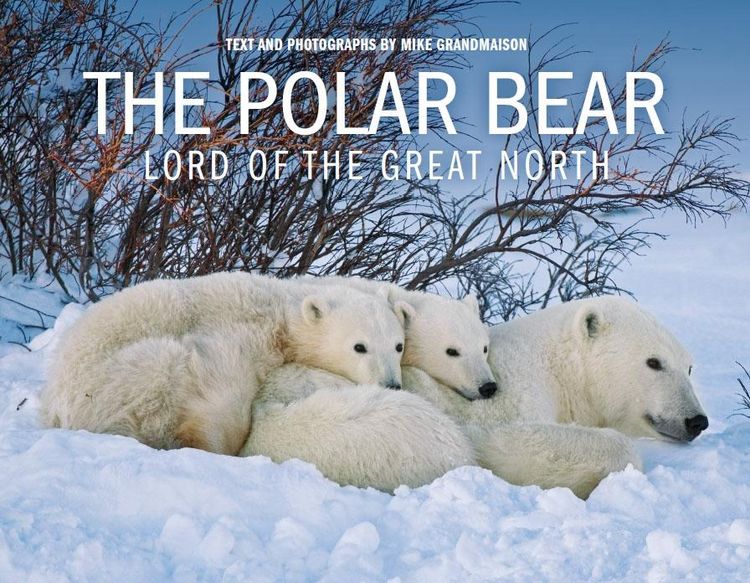 Produktbild: Polar Bear