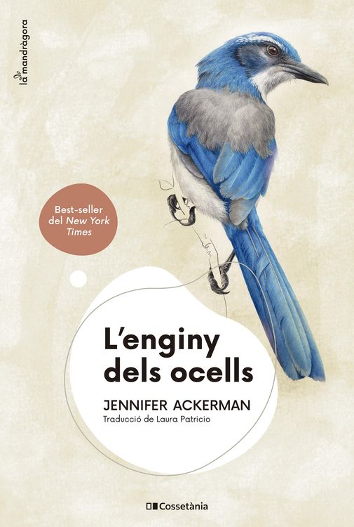 Produktbild: L'enginy dels ocells
