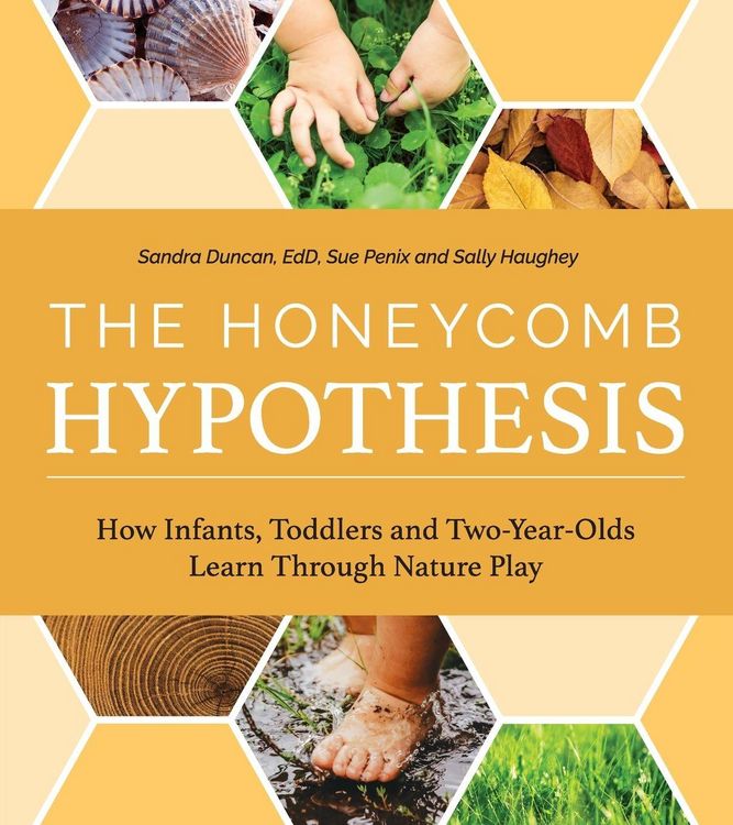 Produktbild: The Honeycomb Hypothesis
