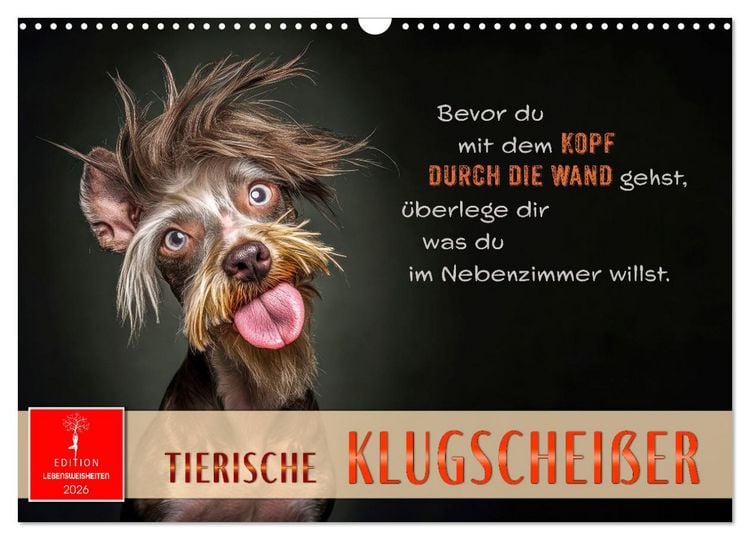 Produktbild: Tierische Klugschei&szlig;er (Wandkalender 2026 DIN A3 quer), CALVENDO Monatskalender