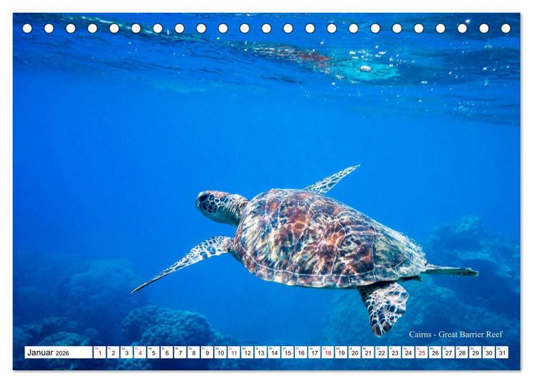 Produktbild: Australien Ostk&uuml;ste - von Cairns nach Sydney (Tischkalender 2026 DIN A5 quer), CALVENDO Monatskalender