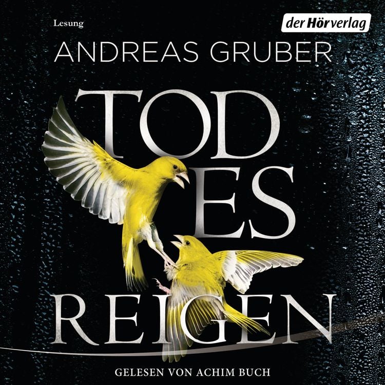 Bild vom Artikel Todesreigen / Maarten S. Sneijder Bd.4 vom Autor Andreas Gruber