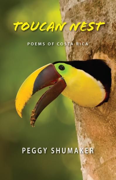 Produktbild: Toucan Nest