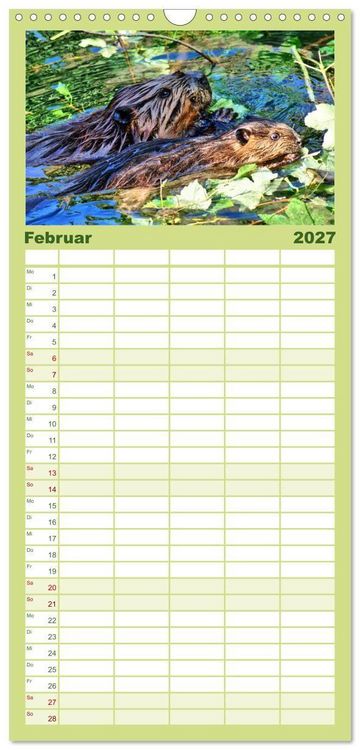 Produktbild: Familienplaner 2027 - Das Leben der Biber mit 5 Spalten (Wandkalender, 21 x 45 cm) CALVENDO