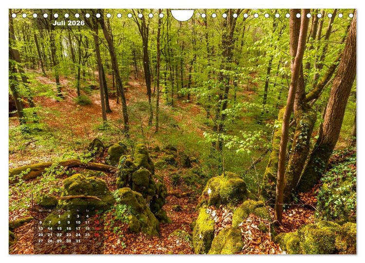 Produktbild: Zauberhafte Waldlandschaften (Wandkalender 2026 DIN A4 quer), CALVENDO Monatskalender