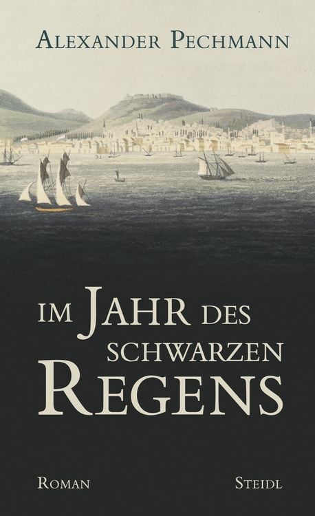 Produktbild: Im Jahr des schwarzen Regens