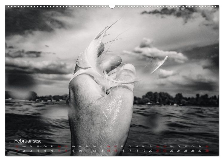 Produktbild: FREIWASSERLUST (hochwertiger Premium Wandkalender 2026 DIN A2 quer), Kunstdruck in Hochglanz