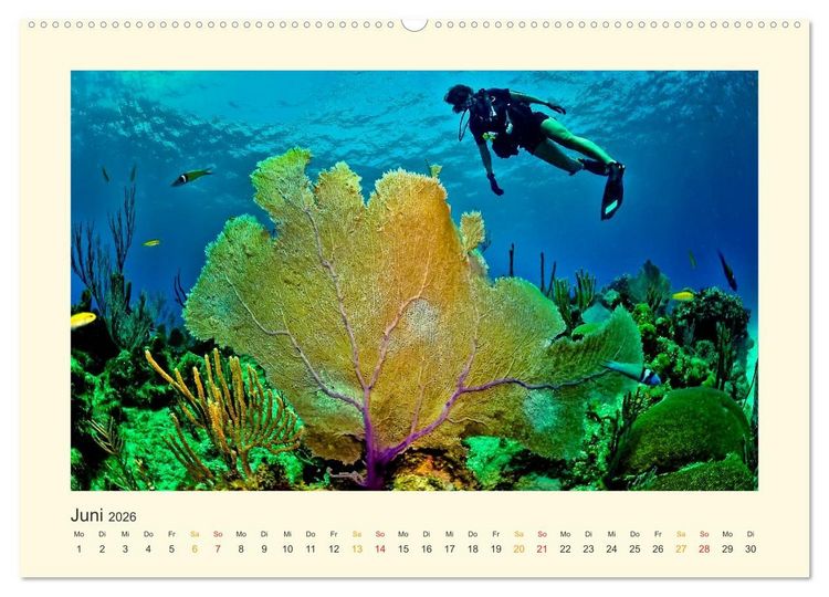 Produktbild: Malediven - mein Traum (hochwertiger Premium Wandkalender 2026 DIN A2 quer), Kunstdruck in Hochglanz
