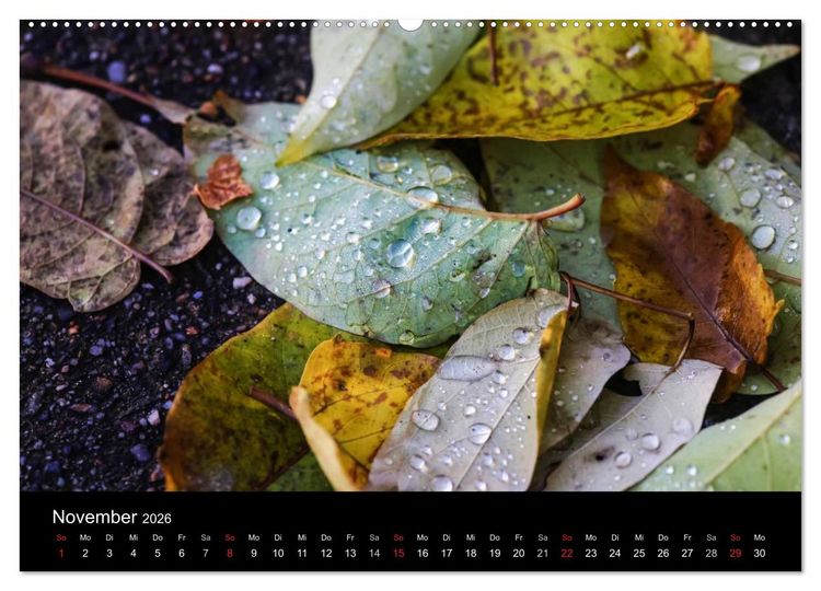 Produktbild: Wassertropfen (Wandkalender 2026 DIN A2 quer), CALVENDO Monatskalender