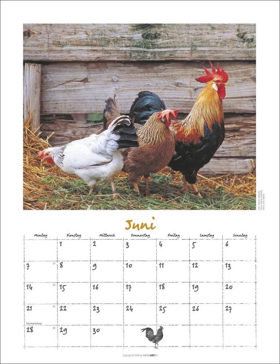 Produktbild: Der H&uuml;hnerkalender 2027