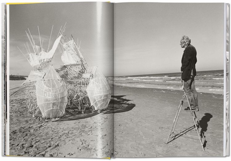 Produktbild: Strandbeest