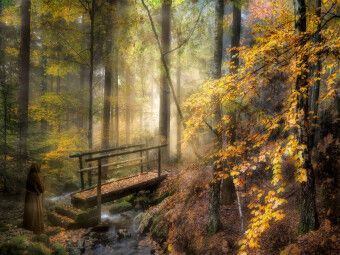 Produktbild: CALVENDO Puzzle Ins Licht | 1000 Teile Lege-Gr&ouml;&szlig;e 64x48cm Foto-Puzzle f&uuml;r gl&uuml;ckliche Stunden