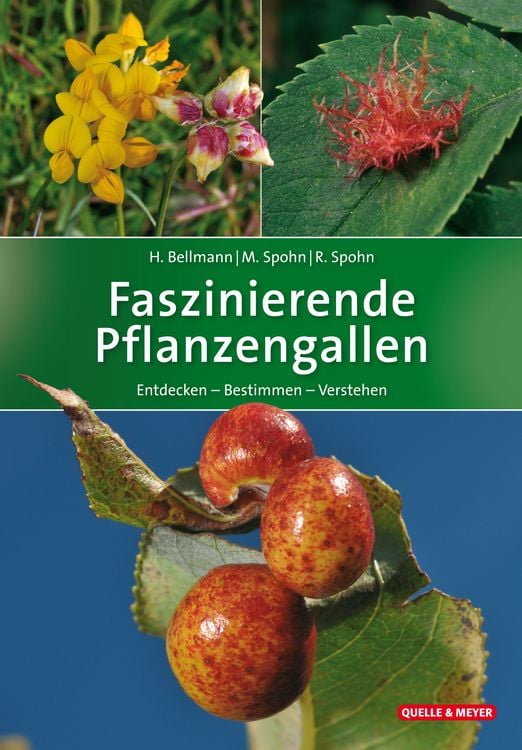 Produktbild: Faszinierende Pflanzengallen