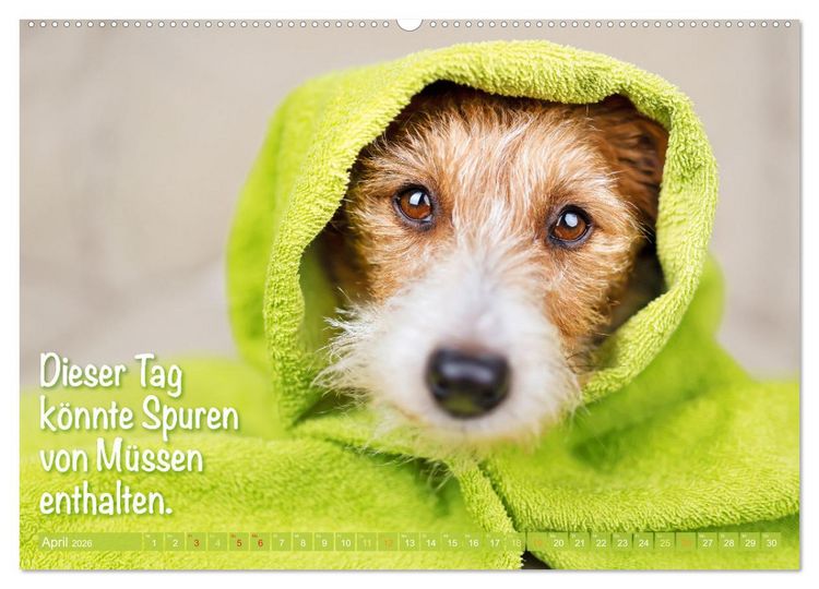 Produktbild: Jack Russell Terrier: Komm spielen (hochwertiger Premium Wandkalender 2026 DIN A2 quer), Kunstdruck in Hochglanz