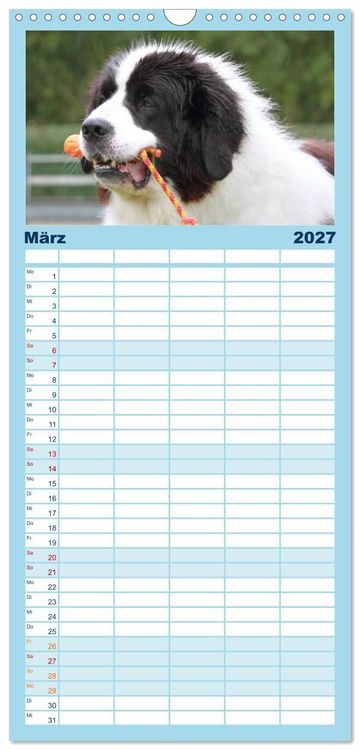 Produktbild: Familienplaner 2027 - Landseer - Das Wasser ist ihr Element mit 5 Spalten (Wandkalender, 21 x 45 cm) CALVENDO