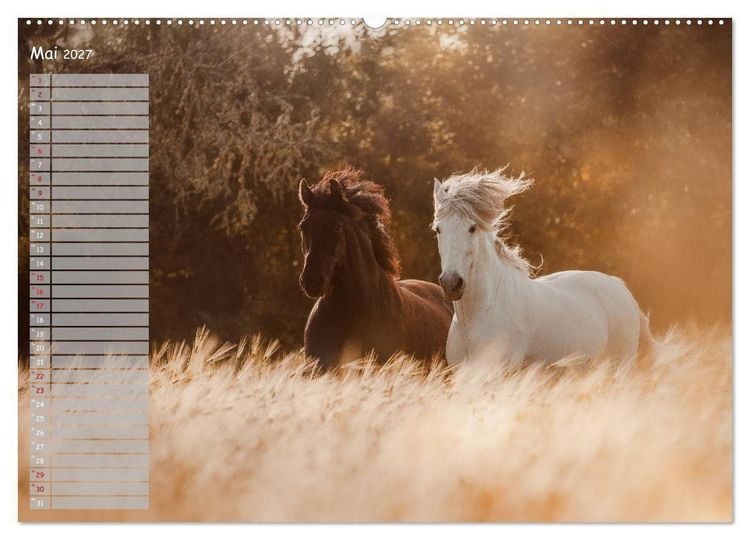 Produktbild: Pferde - Spiegel deiner Seele (Wandkalender 2027 DIN A2 quer), CALVENDO Monatskalender