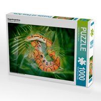Produktbild: CALVENDO Puzzle Regenbogenboa | 1000 Teile Lege-Gr&ouml;&szlig;e 64x48cm Foto-Puzzle f&uuml;r gl&uuml;ckliche Stunden