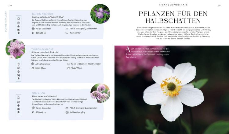 Produktbild: Bl&uuml;tenpracht und Erntegl&uuml;ck &ndash; Dein Weg zum Traumgarten