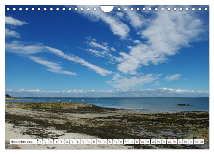 Produktbild: Quiberon C&ocirc;t&eacute; sauvage (Calendrier mural 2026 DIN A4 vertical), CALVENDO calendrier mensuel