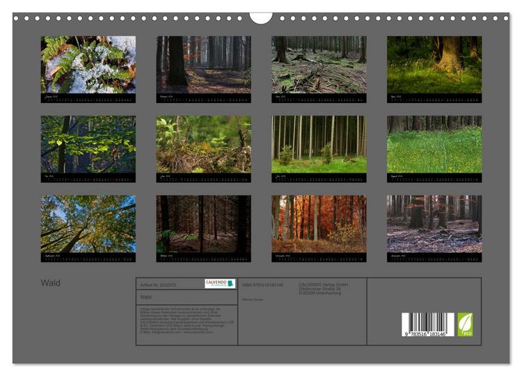 Produktbild: Wald (Wandkalender 2026 DIN A3 quer), CALVENDO Monatskalender