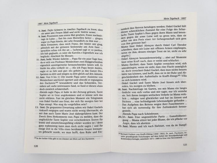 Produktbild: Das Tagebuch der Lieblingstochter von Kaiserin Elisabeth 18781899