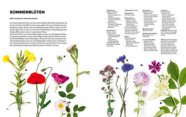 Produktbild: Wildkr&auml;uter Top 10