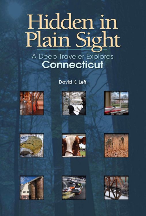 Produktbild: Hidden in Plain Sight