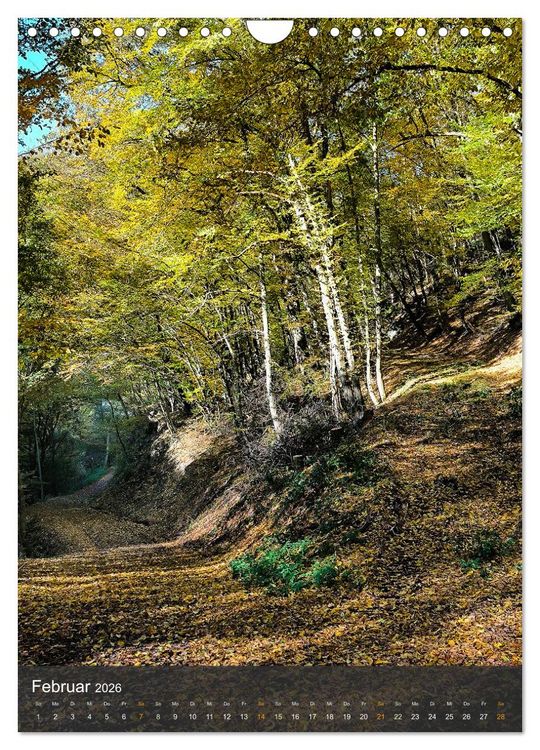 Produktbild: Eifel Traumpfad H&ouml;hlen- und Schluchtenstieg (Wandkalender 2026 DIN A4 hoch), CALVENDO Monatskalender