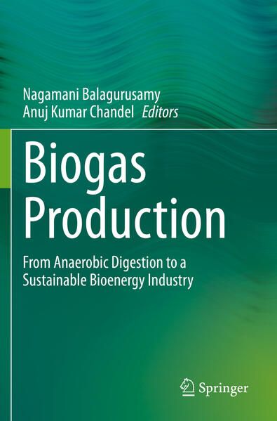 Produktbild: Biogas Production