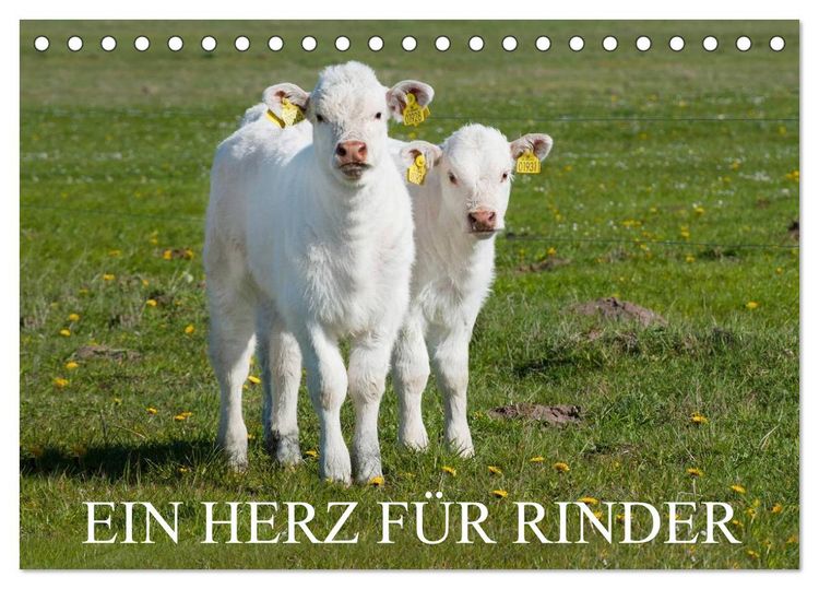 Produktbild: Ein Herz f&uuml;r Rinder (Tischkalender 2026 DIN A5 quer), CALVENDO Monatskalender