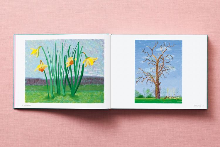 Produktbild: David Hockney