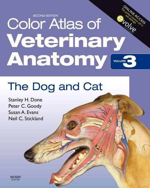 Produktbild: Color Atlas of Veterinary Anatomy 3