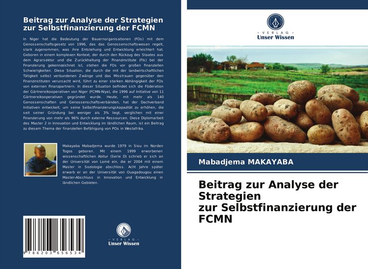 Produktbild: Beitrag zur Analyse der Strategien zur Selbstfinanzierung der FCMN