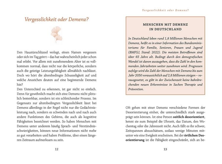 Produktbild: Demenz verstehen