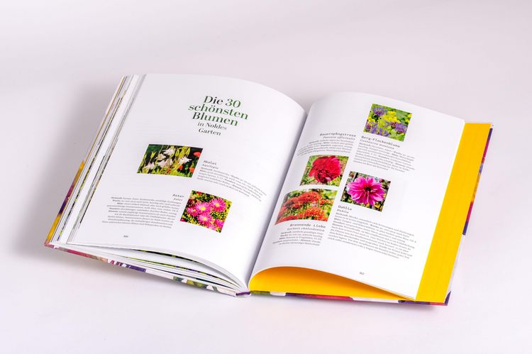 Produktbild: Der Garten von Emil Nolde