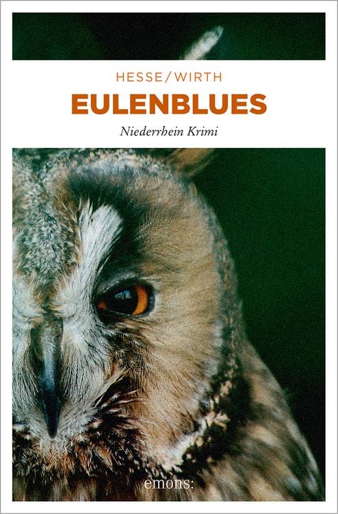 Produktbild: Eulenblues / Karin Krafft & Gero von Aha Bd. 6