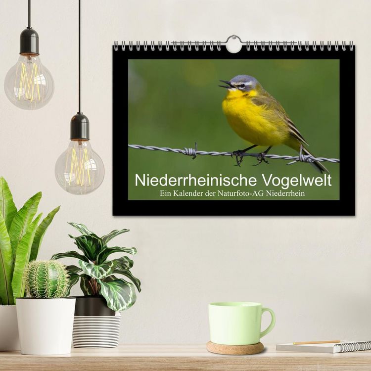 Produktbild: Niederrheinische Vogelwelt (Wandkalender 2026 DIN A4 quer), CALVENDO Monatskalender